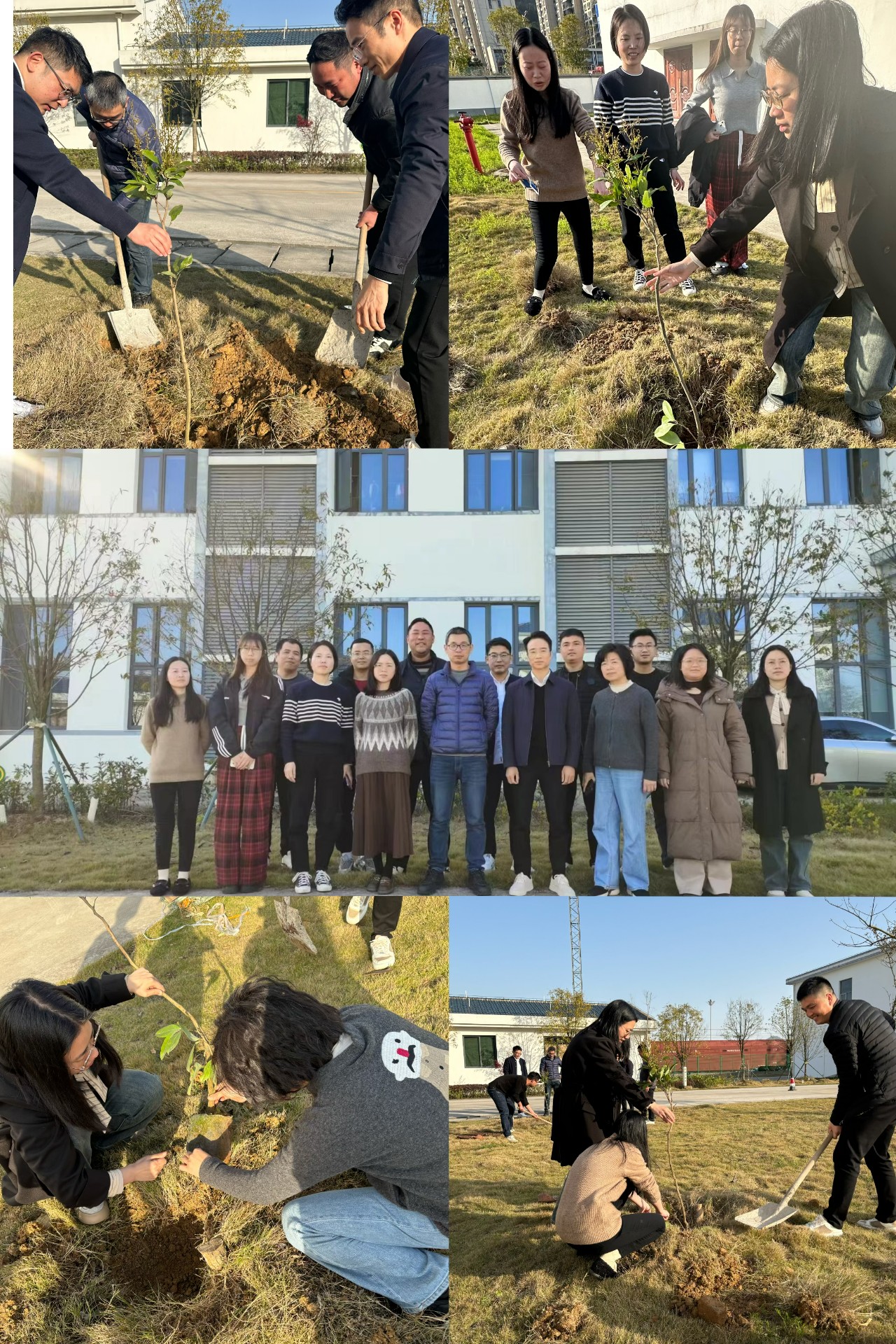 2024-3-12綠色陸港，美麗寧德，阮克妙拍攝.jpg